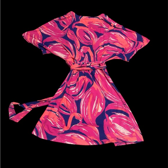 Lilly Pulitzer Vibrant Pink and Navy Midi Dress - Picture 3 of 4